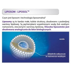 LIPOSOL LIPOSOMALNA WITAMINA C1000 40 szt. ALINESS
