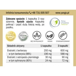 BERBERYNA PREMIUM ZDROWA WĄTROBA METABOLIZM 90 KAP YANGO