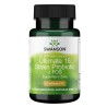 Swanson Ultimate 16 strain formula - suplement diety 60 kaps.