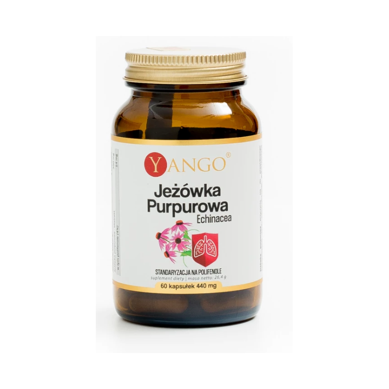 Jeżówka Purpurowa  Echinacea  60 kapsułek Yango