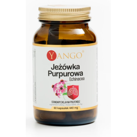 Jeżówka Purpurowa  Echinacea  60 kapsułek Yango