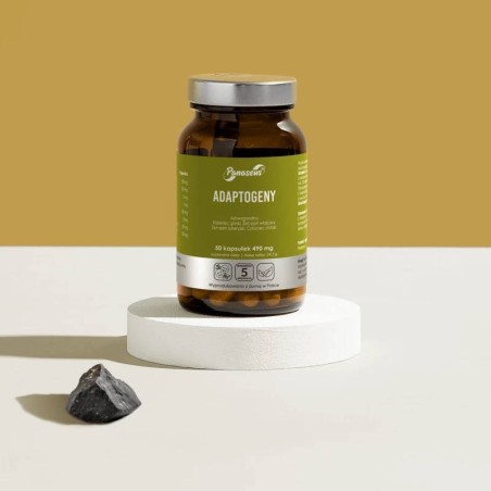 ADAPTOGENY 50 kapsułek PANASEUS ASHWAGANDHA Yango