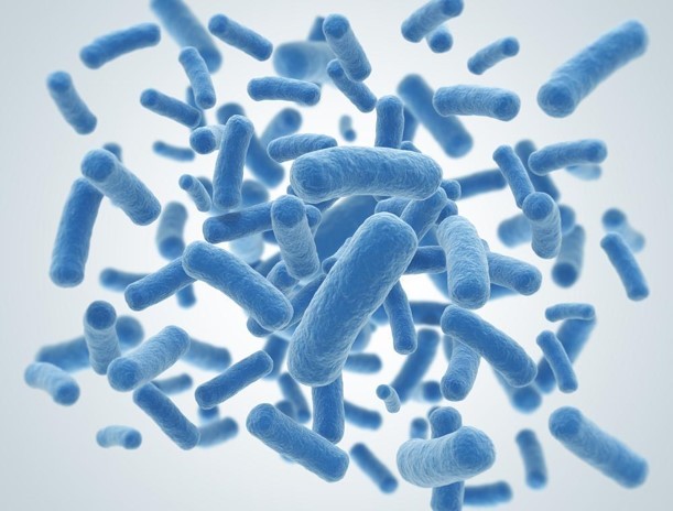 PROBIOTYKI – dobre bakterie istotne dla zdrowia człowieka